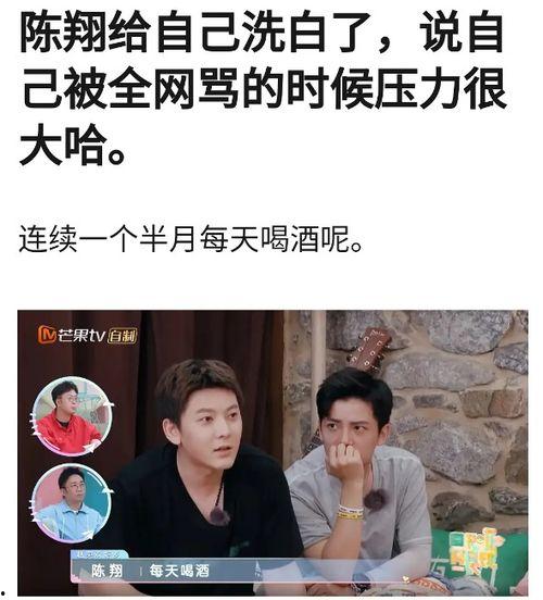 陈翔爆料视频大全最新,揭秘娱乐圈不为人知的幕后故事 第3张 陈翔爆料视频大全最新,揭秘娱乐圈不为人知的幕后故事 第3张